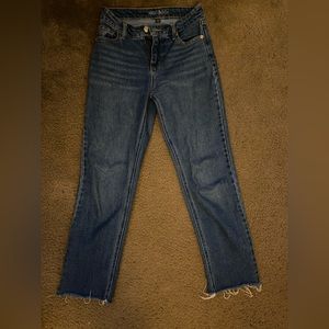 WildFable Moms jeans